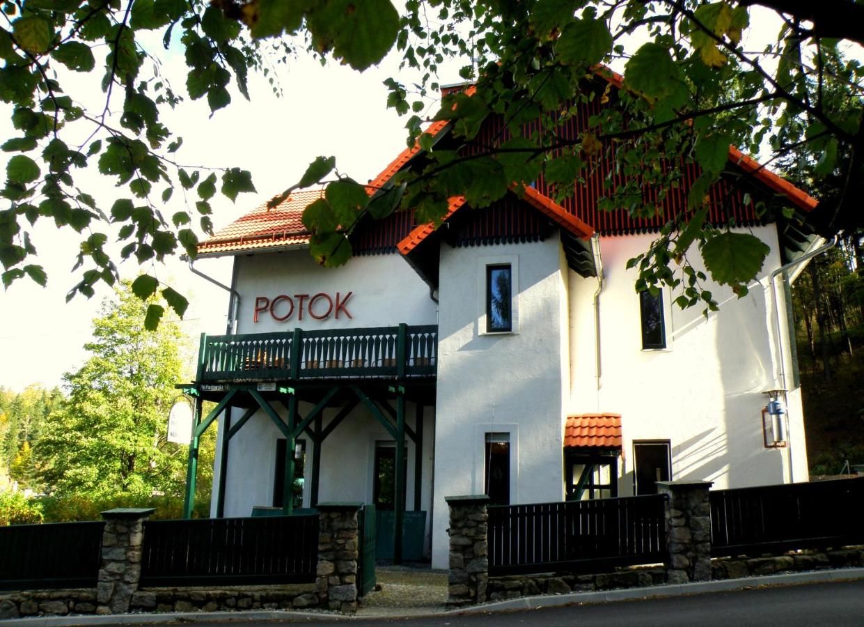 Отели типа «постель и завтрак» Dom Potok Карпач-5